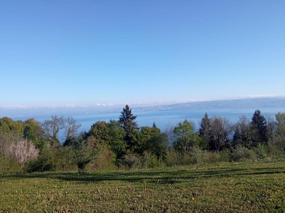 Lugrin Proche Du Lac Et Montagne Extérieur photo